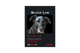Audioquest Black Lab - przewód 1xRCA/1xRCA do subwoofera o długości 8 m