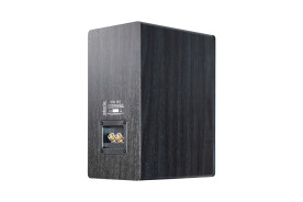 Indiana Line TESI 261 Black Oak - kolumny podstawkowe