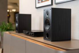 Indiana Line TESI 261 Black Oak - kolumny podstawkowe