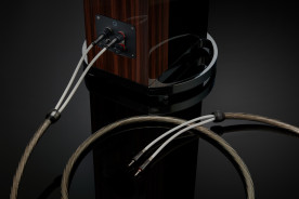 QED Signature Supremus Zr - kabel głośnikowy | konfekcjonowany 2x 4 m QED Signature Supremus Zr - kabel głośnikowy | konfekcjonowany 2x 4 m