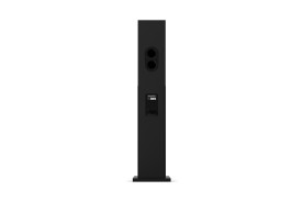 Amphion Krypton 3X Black - kolumny podłogowe