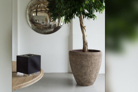 Naim Muso Qb 2 - system audio typu "all-in-one"