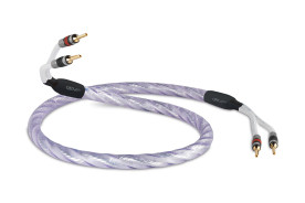 QED Signature Genesis Silver Spiral - kabel głośnikowy | konfekcjonowany 2x 5 m