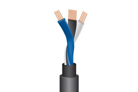 Wireworld Equinox® 10 | ESM 10/4 - przewód 1xRCA/1xRCA do subwoofera o długości 4 m