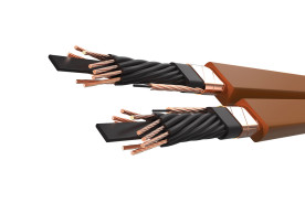 Wireworld Electra™ 10 | ELP 10/3 - przewód zasilający AC | power cord o długości 3 m