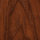 European Walnut image