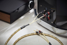 QED Reference Golden Anniversary XT - kabel głośnikowy | konfekcjonowany 2x 2,5 m QED Reference Golden Anniversary XT - kabel głośnikowy | konfekcjonowany 2x 2,5 m